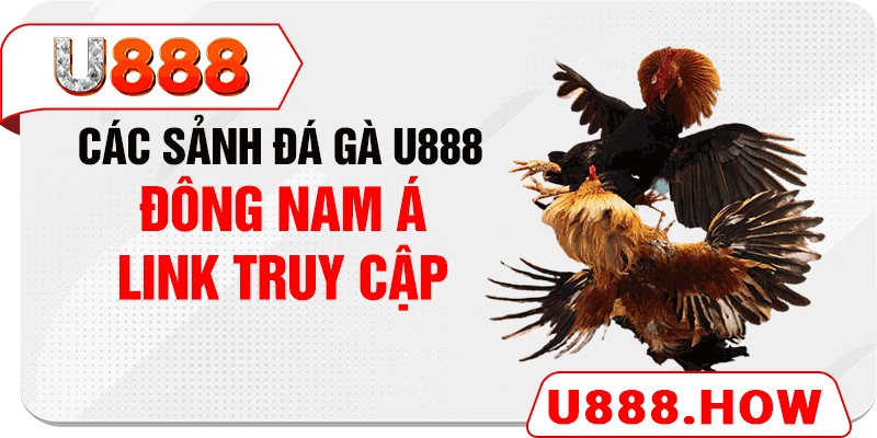 Các sảnh đá gà U888 Đông Nam Á & Link truy cập