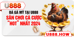 Đá gà Mỹ tại U888 - Sân chơi cá cược “HOT” nhất 2024