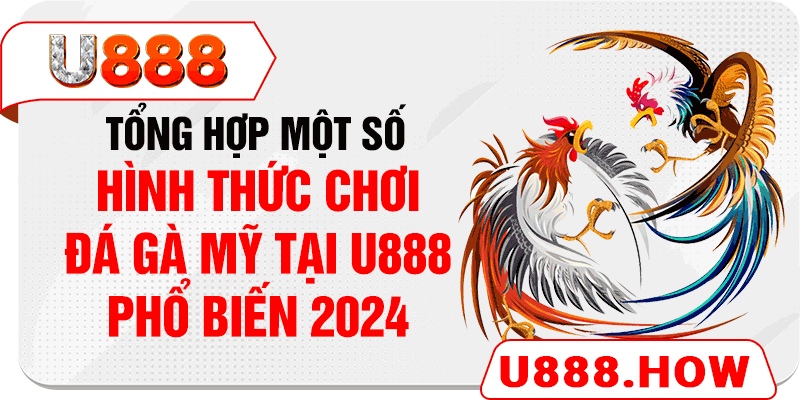 Tổng hợp một số hình thức chơi đá gà Mỹ tại U888 phổ biến 2024